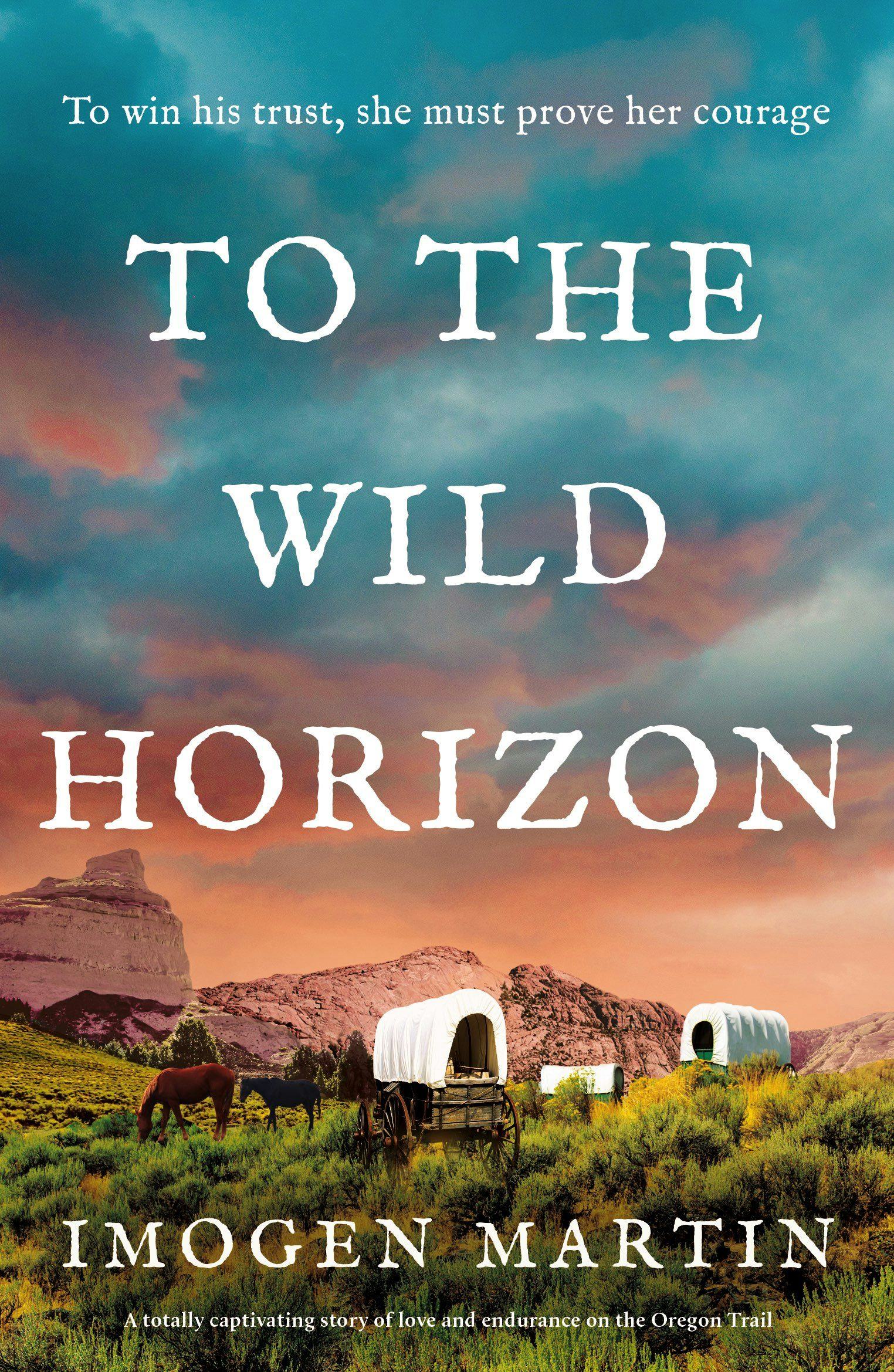 Book cover image for To the Wild Horizon ISBN: 9781805081760